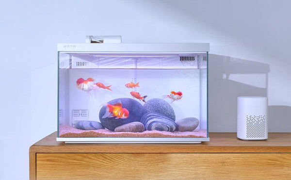 Xiaomi DESGEO S600 Basic Smart Modular Ecological Fish Tank 30L Auto Feeder  RGB Lighting UA Sterilization Filter works with mijia MiHome App