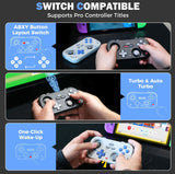 IINE Retro Pocket Compact Gamepad with Hall Effect Joysticks, Customizable Buttons Controller Gaming Controller IINE 
