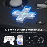 IINE Retro Pocket Compact Gamepad with Hall Effect Joysticks, Customizable Buttons Controller Gaming Controller IINE 