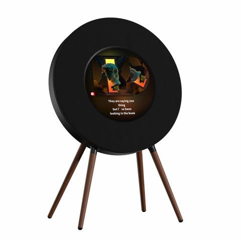 MorningBlues Record R1 Music Lyrics Speaker Hi-Fi Sound Quality with Real-Time Album Cover Display Speakers MorningBlues 