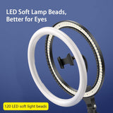Baseus Ring LED Light 10/12inch With foldable selfie stand Ring Light Baseus 